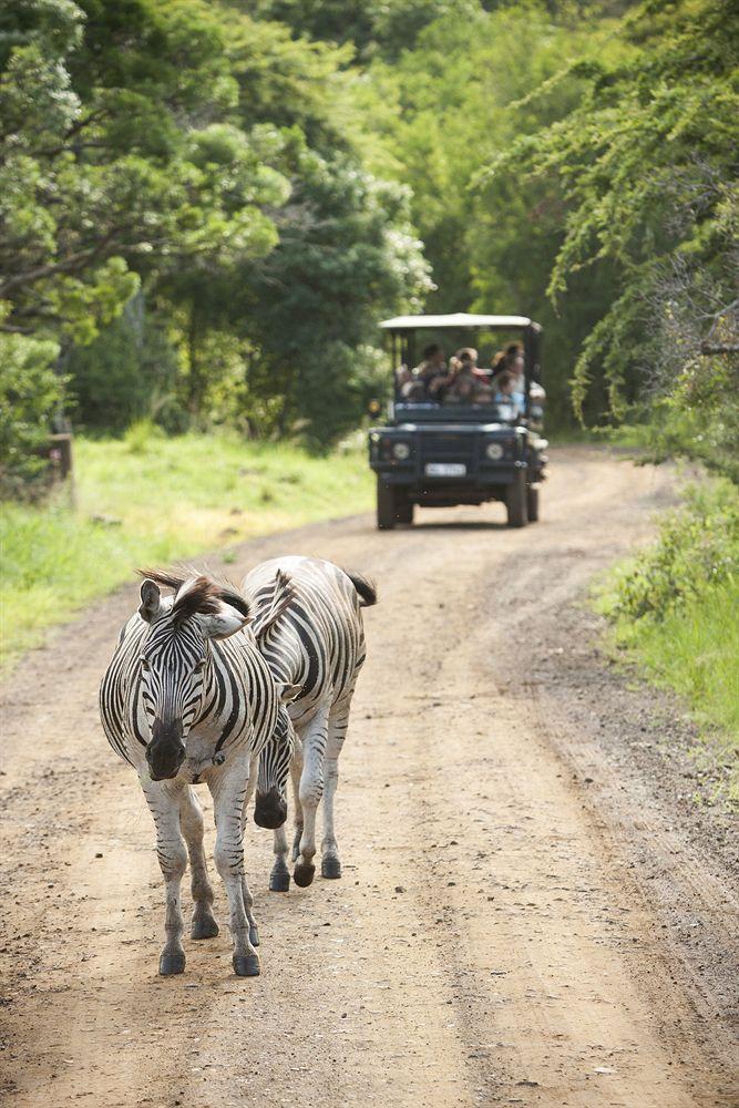 Zululand Safari Lodge Hluhluwe Exteriér fotografie